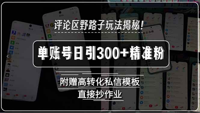 （15466期）评论区野路子玩法揭秘！单账号日引300+精准粉，附赠高转化私信模板，直…-尤课网创