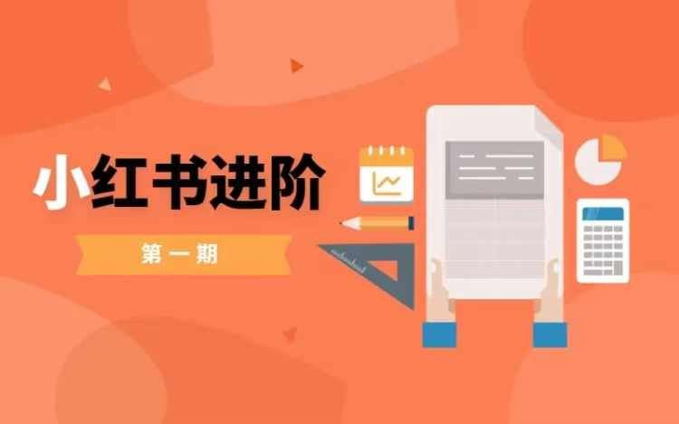 小红书进阶篇，零基础小白实战课，普通人变现的课程-尤课网创