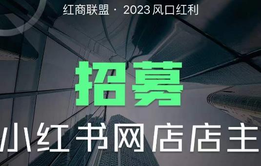 红商联盟·小红书无货源电商1.0，0粉丝无需囤货，小白也可以轻松上手的无货源项目-尤课网创