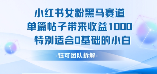 小红书女粉黑马赛道单篇帖子带来收益1k+，特别适合0基础的小白-尤课网创