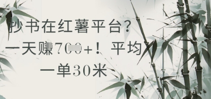 抄书在小红薯平台？平均一单30米，一天收益几张！-尤课网创