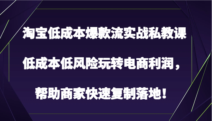 淘宝低成本爆款流实战私教课，低成本低风险玩转电商利润，帮助商家快速复制落地！-尤课网创