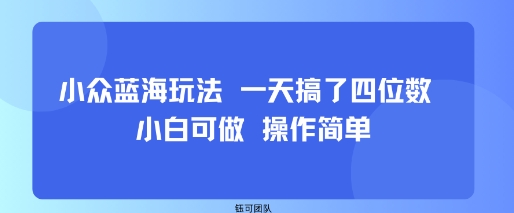 小众蓝海玩法 一天搞了四位数 小白可做 操作简单-尤课网创