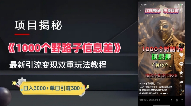 一千个野路子信息差最新玩法教程-变现+引流的玩法具体拆解-尤课网创