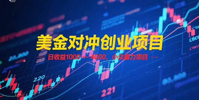 美金对冲创业项目,日收益 1000 – 4000,小众暴力项目-尤课网创