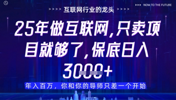 什么！25年你还在找项目做？风口早就变了，卖项目才是稳挣不赔【揭秘】-尤课网创