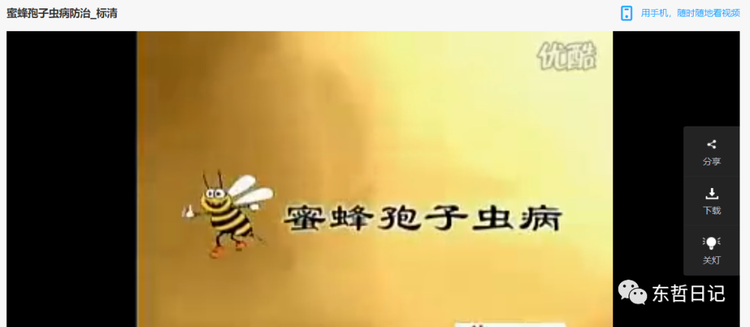 东哲日记：全网首创实物虚拟电商项目，速来捡钱，成本低，一单赚几十块！-尤课网创