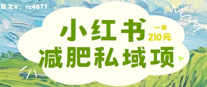小红书减肥粉，私域变现项目，一单就达210元，小白也能轻松上手【揭秘】-尤课网创