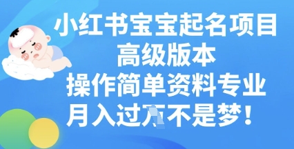 小红书宝宝起名项目高级版本，操作简单，资料专业，月入过W-尤课网创