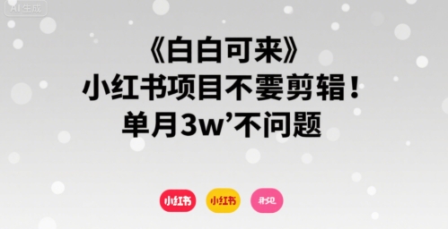 小白可来 小红书项目不需要剪辑 单月3w不是问题-尤课网创