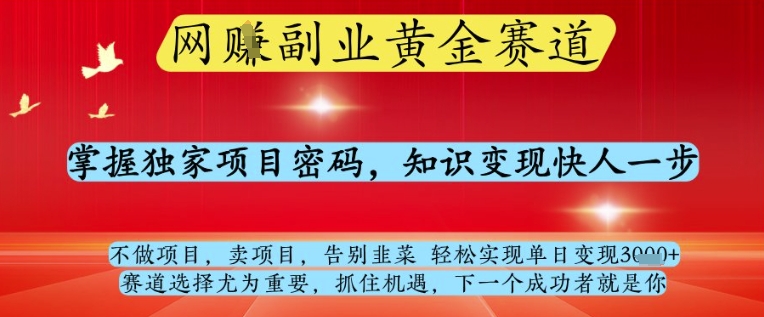 网创副业黄全赛道，掌握独家项目密码，知识变现快人一步，告别韭菜轻松实现单日变现1k+【揭秘】-尤课网创