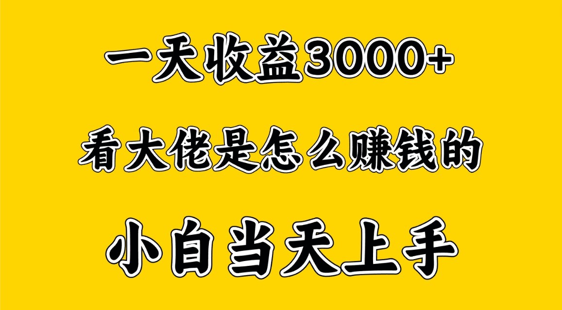 一天赚3000多，大佬是这样赚到钱的，小白当天上手，穷人翻身项目-尤课网创