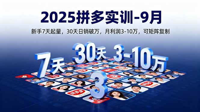 (16008期)2025拼多多实训-9月:新手7天起量,30天日销破万,月利润3-10万,可矩阵复制-尤课网创