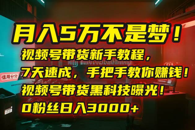 （15595期）月入5万不是梦！视频号带货新手教程，7天速成，手把手教你赚钱！视频号…-尤课网创