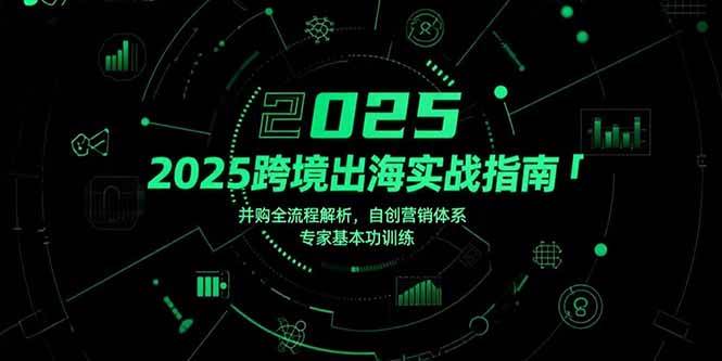 （15503期）2025跨境出海实战指南，并购全流程解析，自创营销体系，专家基本功训练-尤课网创