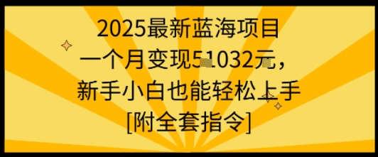 2025最新蓝海项目一个月变现1w+新手小白也能轻松上手【附全套指令】-尤课网创