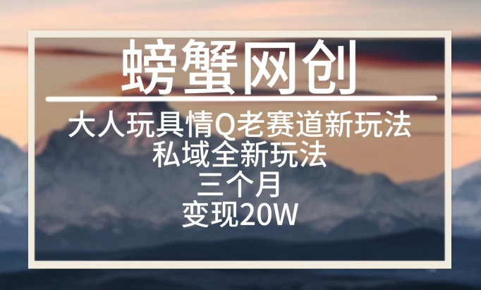 大人玩具情Q用品赛道私域全新玩法，三个月变现20W，老项目新思路-尤课网创