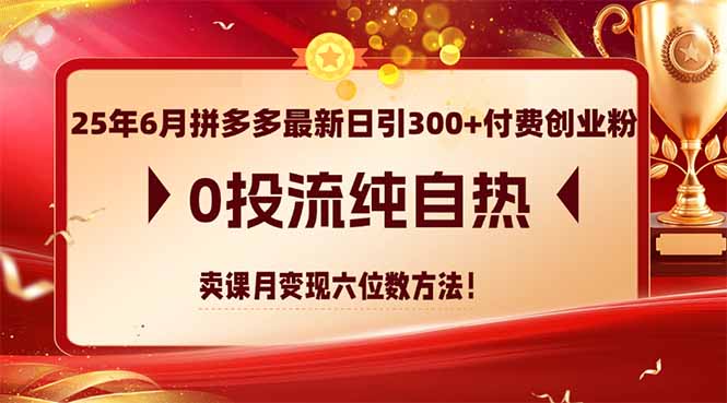 25年6月拼多多最新日引300+付费创业粉，0投流纯自热 卖课月变现六位数方法-尤课网创