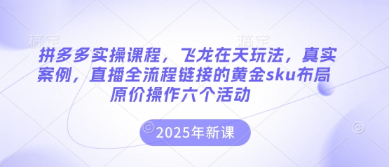 拼多多实操课程，飞龙在天玩法，真实案例，直播全流程链接的黄金sku布局原价操作六个活动-尤课网创