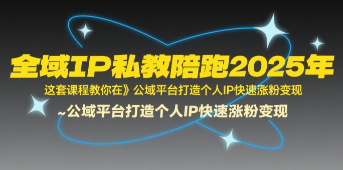 全域IP私教陪跑2025年，这套课程教你在公域平台打造个人IP快速涨粉变现-尤课网创