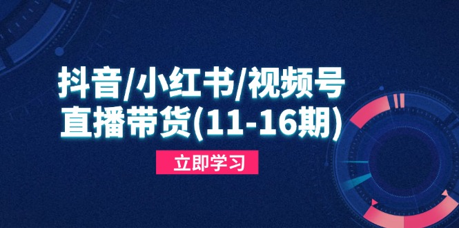 抖音/小红书/视频号/直播带货(11-16期-尤课网创