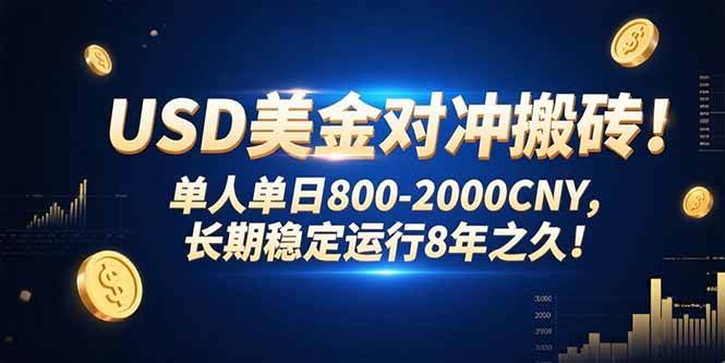 （15551期）USD美金对冲搬砖!单人单日800-2000CNY，长期稳定运行8年之久!-尤课网创
