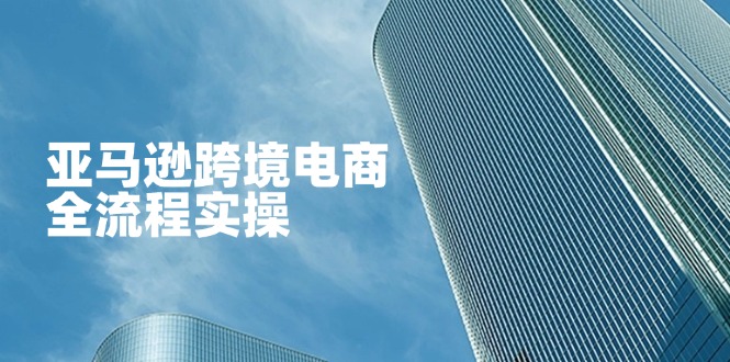 （14252期）亚马逊跨境电商全流程实操，教你从零开始，掌握店铺运营与广告技巧-尤课网创