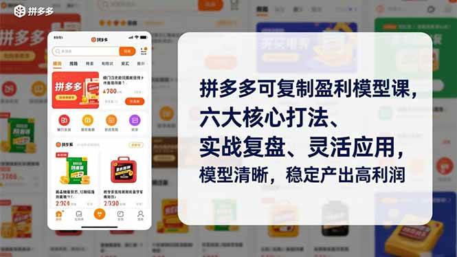 （16952期）拼多多可复制盈利模型课，六大核心打法、实战复盘、灵活应用，模型清晰，稳定产出高利润-尤课网创