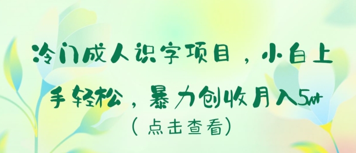 冷门成人识字项目，小白上手轻松，暴力创收月入5w+-尤课网创