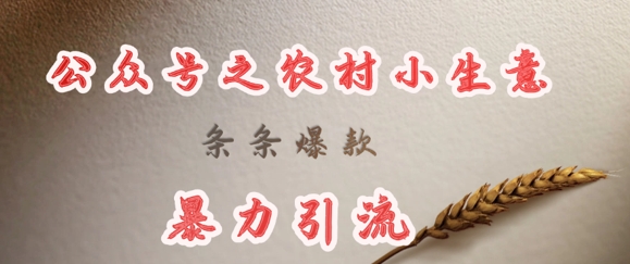 deepseek写农村小项目，条条爆款，暴力引流-尤课网创
