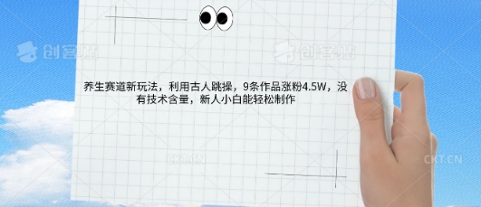 AI养生赛道新玩法，10条作品涨粉5.2W，操作简单，新人小白能轻松制作-尤课网创