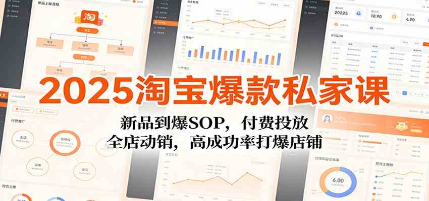 2025淘宝爆款私家课：新品到爆SOP，付费投放，全店动销，高成功率打爆店铺-尤课网创