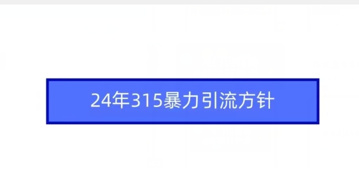 24年315暴力引流方针-尤课网创