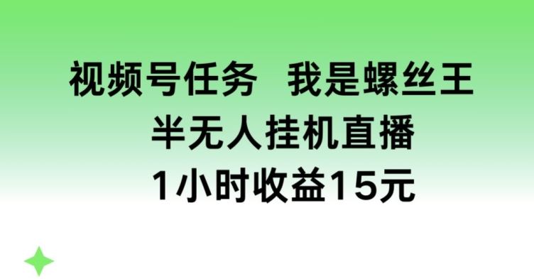 视频号任务，我是螺丝王， 半无人挂机1小时收益15元【揭秘】-尤课网创
