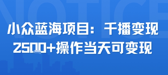 小众蓝海项目，千播变现2.5k+操作当天可变现-尤课网创