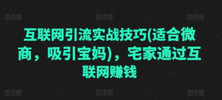 互联网引流实战技巧(适合微商，吸引宝妈)，宅家通过互联网赚钱-尤课网创