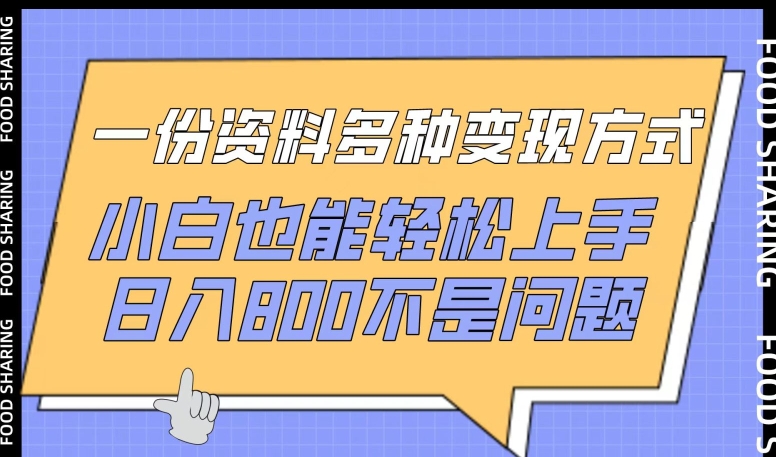 一份资料多种变现方式，小白也能轻松上手，日入800不是问题-尤课网创