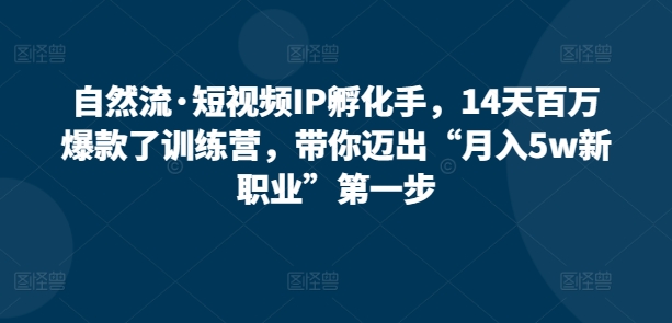 自然流·短视频IP孵化手，14天百万爆款了训练营，带你迈出“月入5w新职业”第一步-尤课网创