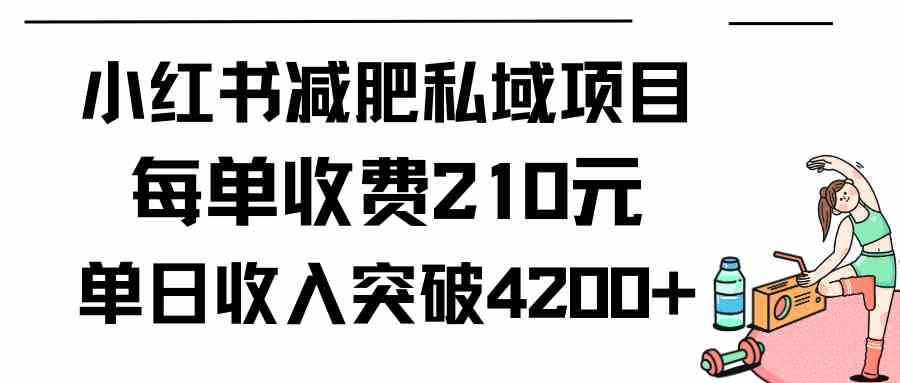 （9466期）小红书减肥私域项目每单收费210元单日成交20单，最高日入4200+-尤课网创