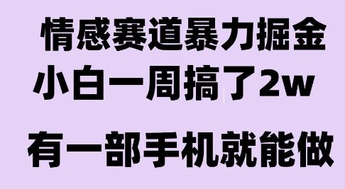情感暴力掘金项目，新人操作一周挣了2W，长期稳定小白可做【揭秘】-尤课网创