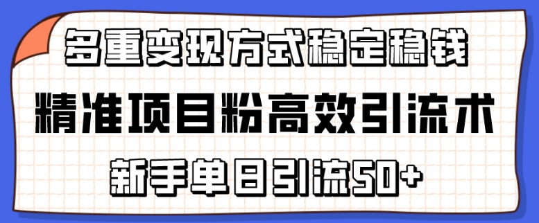精准项目粉高效引流术，新手单日引流50+，多重变现方式稳定赚钱-尤课网创