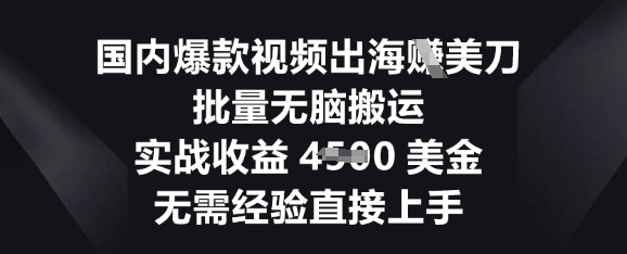 国内爆款视频出海挣美刀，批量无脑搬运，实战收益4.5k，无需经验直接上手-尤课网创