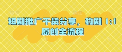 短剧推广干货分享，豹剧 1:1原创全流程-尤课网创