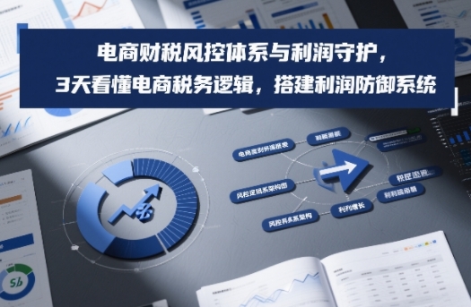 电商财税风控体系与利润守护，3天看懂电商税务逻辑，搭建利润防御系统-尤课网创