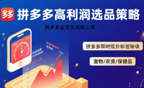 拼多多选品暴利技术实战课，拼多多高利润选品策略，拼多多限时低价标签秘诀-尤课网创