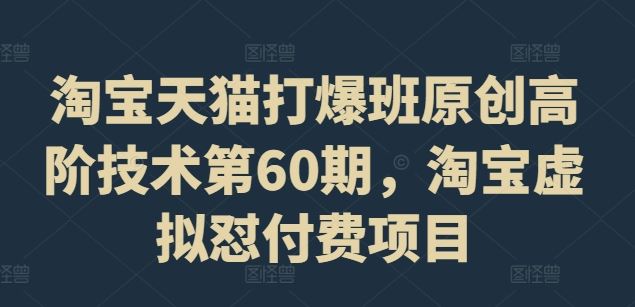 淘宝天猫打爆班原创高阶技术第60期，淘宝虚拟怼付费项目-尤课网创