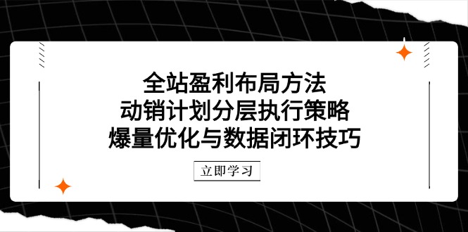 全站盈利布局方法：动销计划分层执行策略，爆量优化与数据闭环技巧-尤课网创