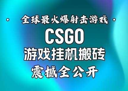 【年底大揭秘】基于全球最火爆的射击CSGO游戏挂G搬砖，日入5张+，震撼公开-尤课网创