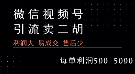 视频号卖二胡教程，利润大 易成交 售后少，一单利润5张+-尤课网创