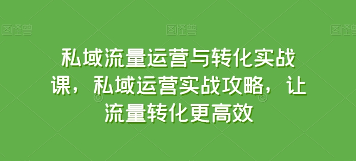 私域流量运营与转化实战课，私域运营实战攻略，让流量转化更高效-尤课网创